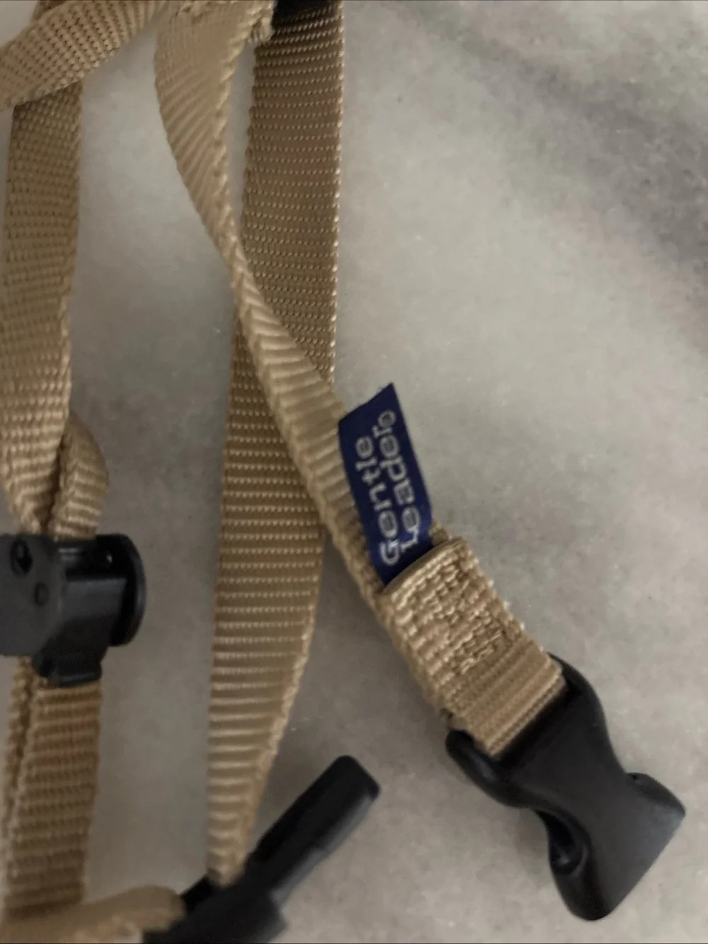 PetSafe gentle leader